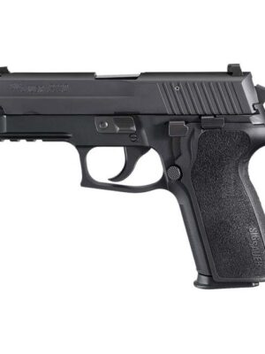 Sig Sauer P229 Nitron (10 Round)